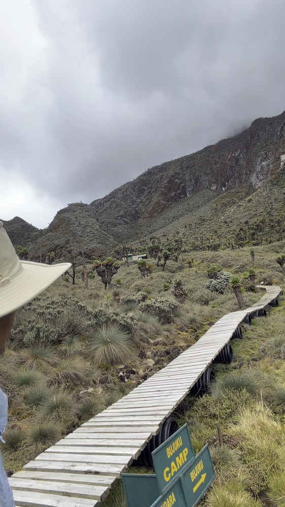Wooden boardwalk through the high mountain valley at Bujuku